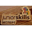 Значок "Junior skills" Эксперт"